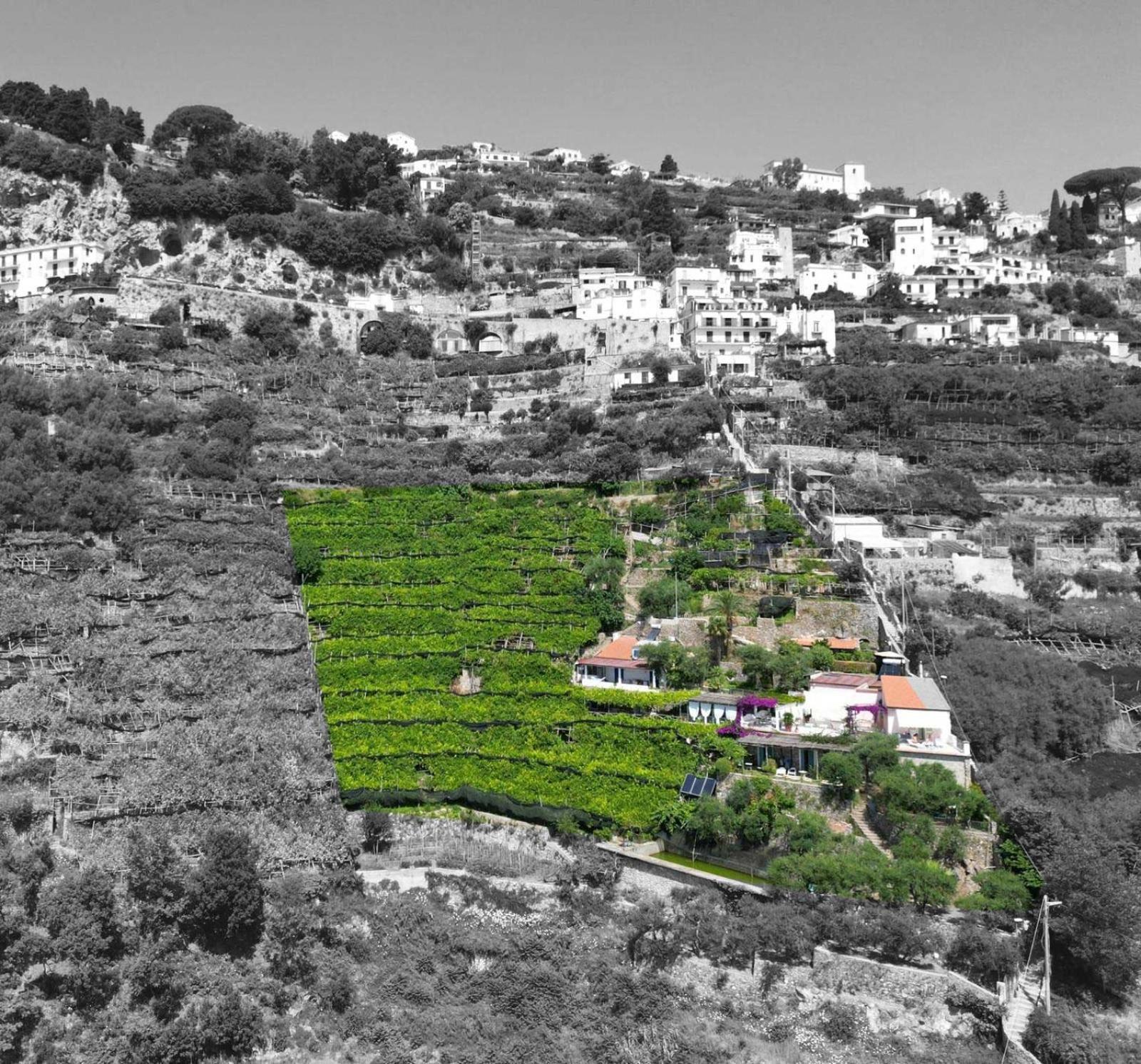 Suite I Limoni Ravello Extérieur photo